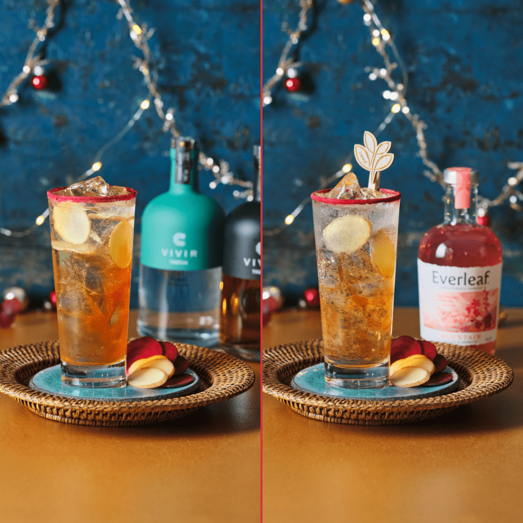 Festive Cocktails Alcoholica nd Non-Alcoholic